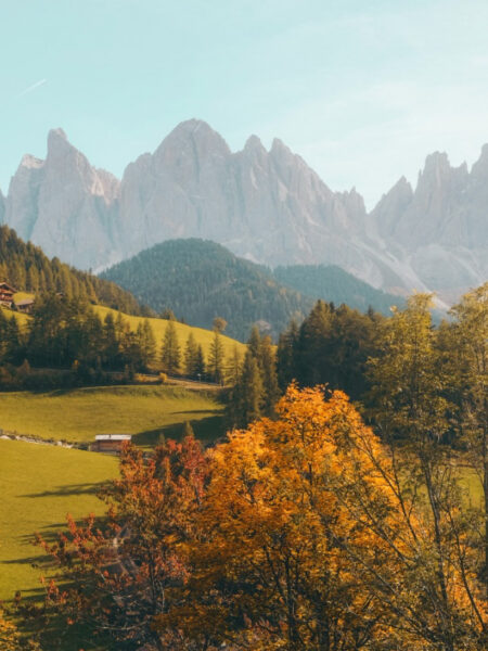natures 02.jpg natures 02.jpg